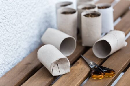 Starting Corn Indoors to Extend the Growing Season Image